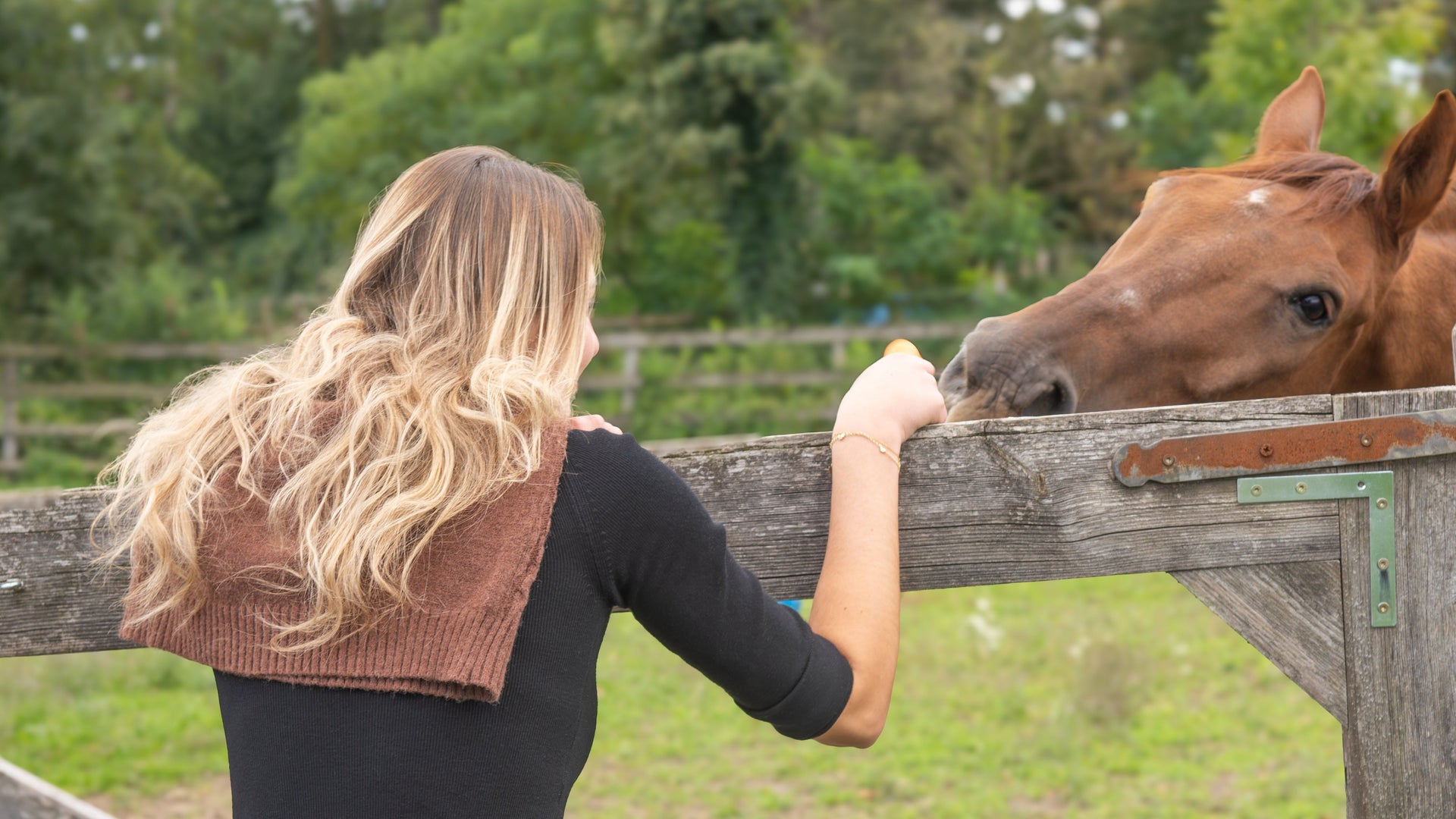 Woman in equestrian attire interacting with a horse through a wooden fence.